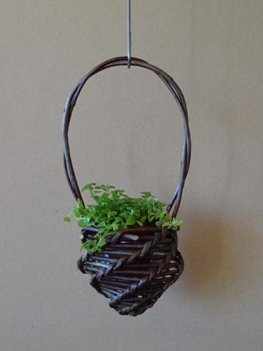 cache-pot-avec-plante